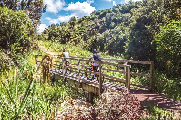 12-Day New Zealand Northbound Tour: Christchurch, Kaikōura, Wellington, Rotorua, Paihia and Auckland