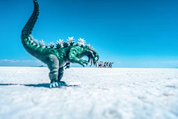 6-Day Bolivia Tour from La Paz: Great Train Graveyard, Eduardo Avaroa National Reserve, Salar De Uyuni | 5 Breakfasts, 2 Lunches, 3 Dinners 