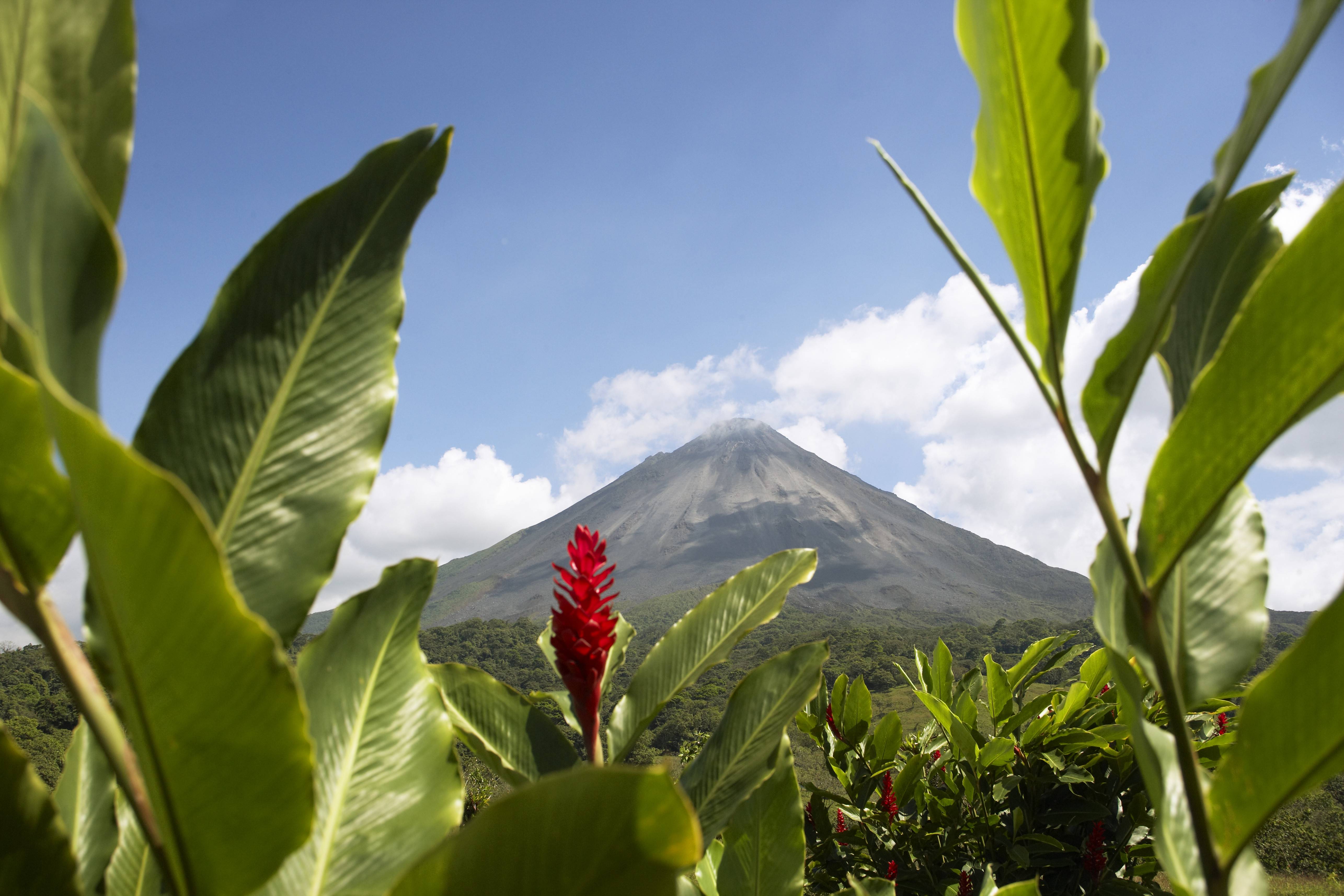 7-Day Costa Rica Adventure Tour from San José: Monteverde and Arenal