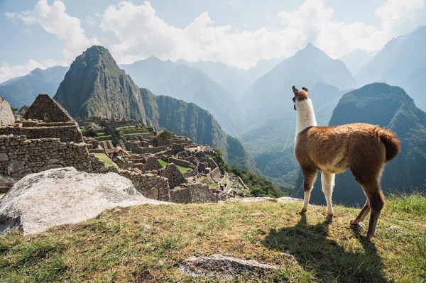 7-Day Peru Explorer Tour from Lima: Cusco, Sacred Valley and Machu Picchu