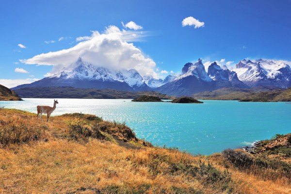 11-Day Wonders of Patagonia from Buenos Airesi:  Ushuaia, El Calafate and Puerto Natales | 2 Countries and 10 Cities | 10 Breakfasts, 3 Lunches, 4 Dinners