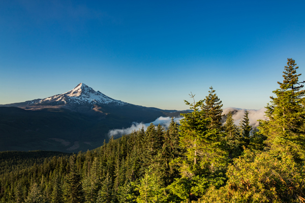 8-Day USA Tour of the Pacific Northwest and the West Coast from Seattle: Portland and San Francisco | 1 Country and 11 Cities | 7 Breakfasts, 1 Lunch, 3 Dinners