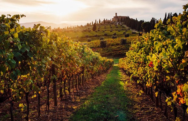 9-Day Tuscany Tour from Rome: Florence, Pisa and Siena | 2 Countries and 9 Cities | 8 Breakfasts, 1 Lunch, 4 Dinners