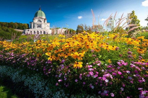 【Toronto In/Montreal Out】9-Day Best of Eastern Canada Tour from Toronto: Ottawa, Niagara Falls and Québec | 1 Country and 6 Cities | 8 Breakfasts, 2 Lunches, 2 Dinners
