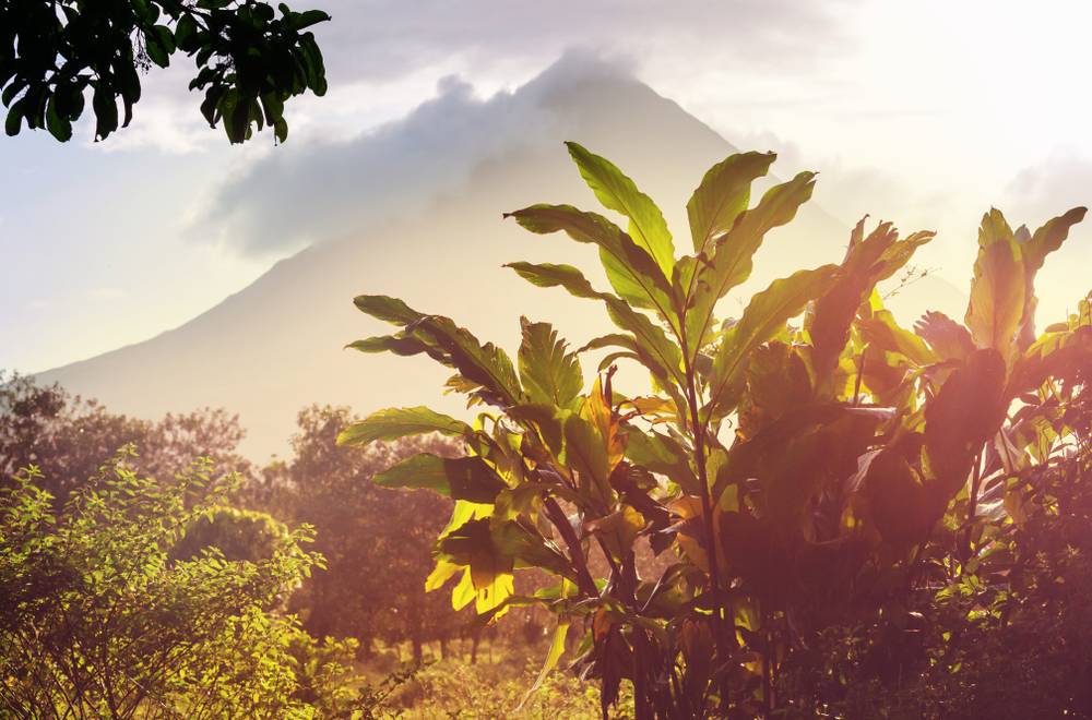 8-Day Costa Rica Nature Adventure Tour from San Jose: Tortuguero and Monteverde | 1 Country and 8 Cities | 7 Breakfasts, 4 Lunches, 6 Dinners