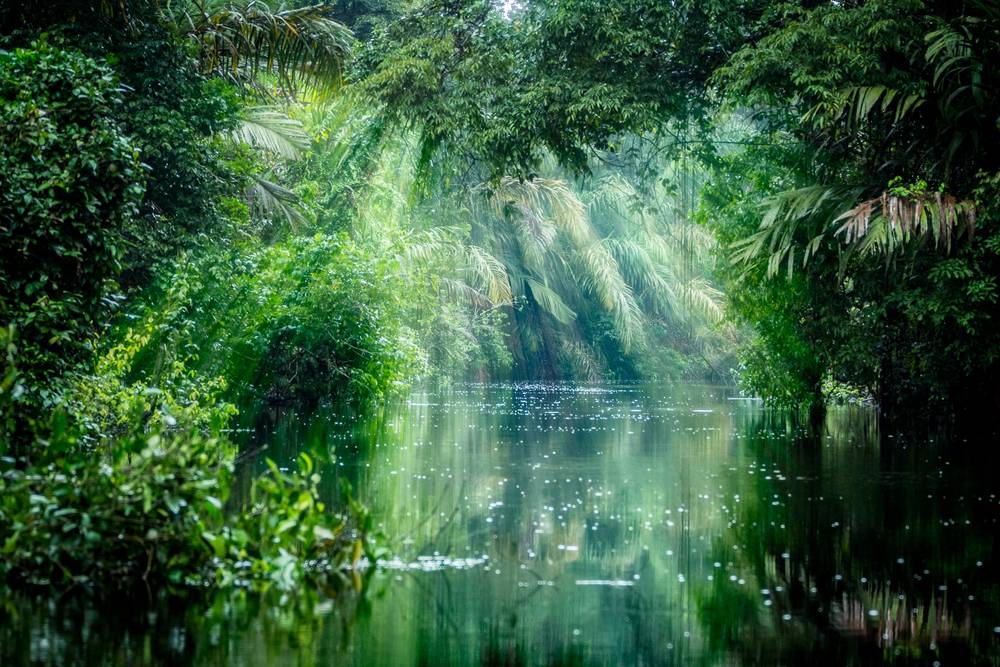 10-Day Costa Rica Tour from San Jose to Liberia: Guanacaste, Tortuguero and Monteverde | 1 Country and 10 Cities | 9 Breakfasts, 4 Lunches, 6 Dinners