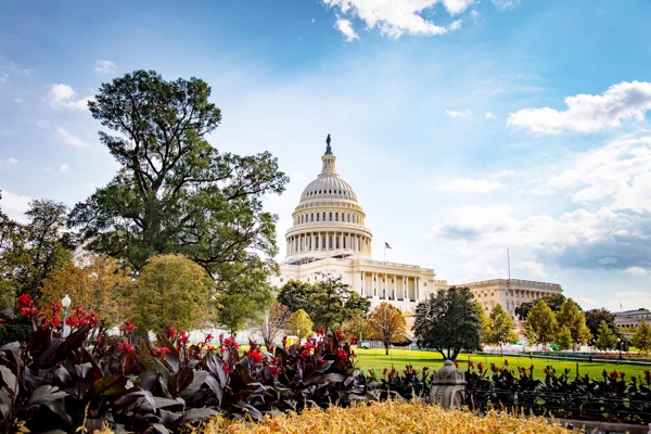 8-Day US History Tour from Washington, D.C.: Williamsburg and Philadelphia | 1 Country and 8 Cities | 7 Breakfasts, 1 Lunch, 3 Dinners