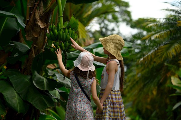 8-Day Costa Rica Family Tour from San Jose: Tortuguero, Arenal and Manuel Antonio National Park | 1 Country and 8 Cities | 7 Breakfasts, 4 Lunches, 5 Dinners