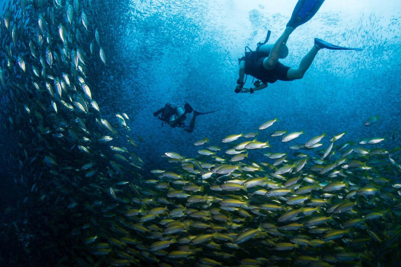 13-Day Thailand Adventure Tour from Bangkok to Islands: Khao Sok, Koh Phangan and Koh Tao丨Beaches & Diving Experience