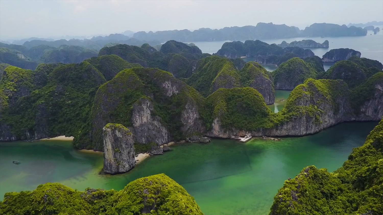 12-Day Enchanting Vietnam Highlights Tour from Hanoi: Sapa, Ha Long Bay, Ninh Binh and Hoi An丨Hanoi Old Quarter, Muong Hoa Valley and Basket Boat & Crab Fishing