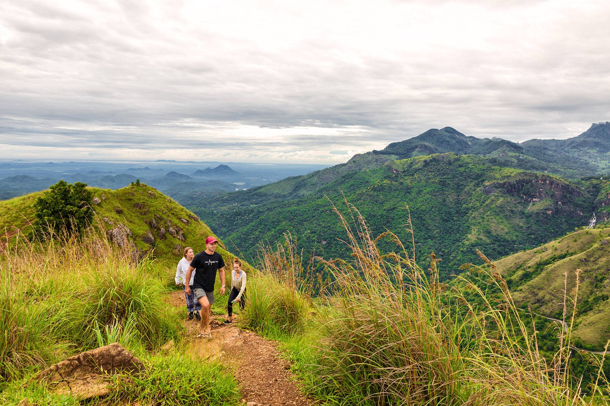 24-Day India and Sri Lanka Experience Tour from Delhi: Jaipur, Sigiriya, Ranthambore, Ella and Mirissa | Small Group Tour