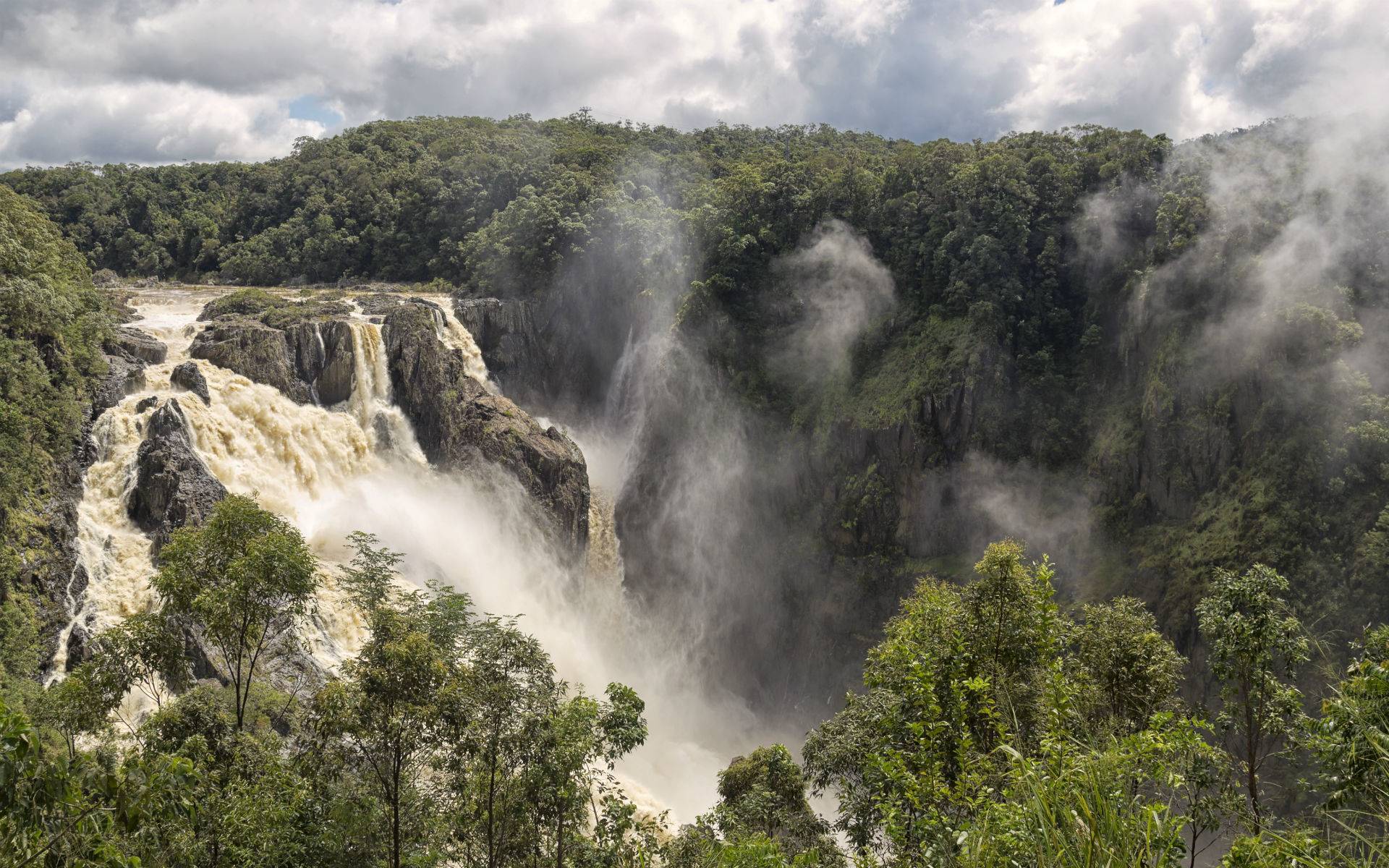 6-Day Cairns Escape Package: Kuranda Rainforest, Great Barrier Reef and Daintree Wilderness