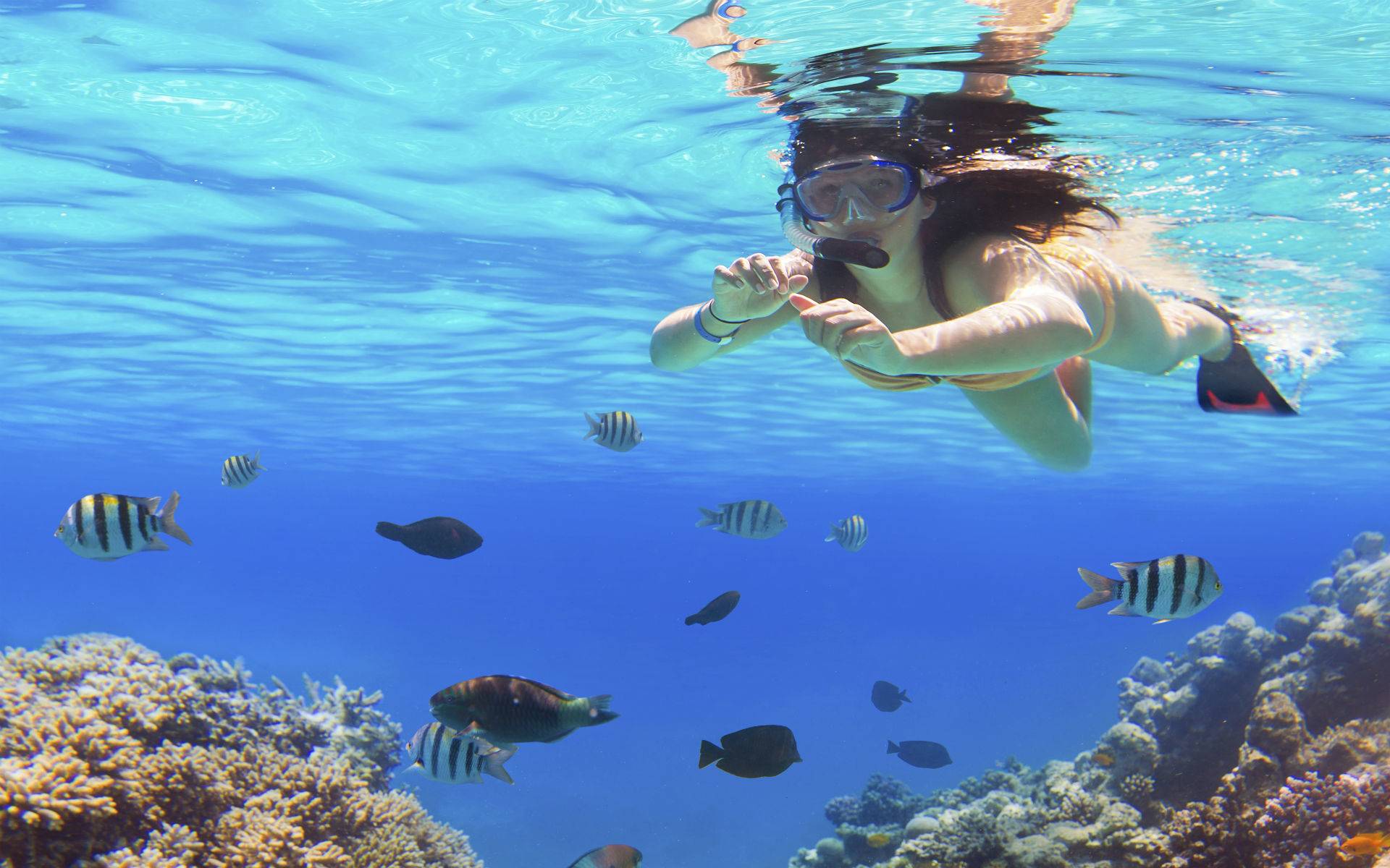 7-Day Cairns & Port Douglas All-Inclusive Touring Package: Cairns Coach Tour & Special Sunset Dinner Cruise, Port Douglas, Daintree & Cape Tribulation Tour