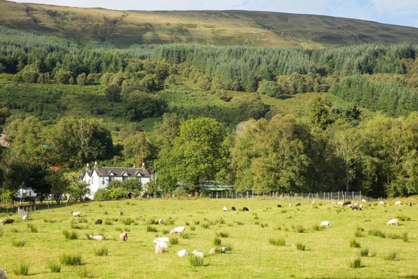 15-Day Ireland and Scotland Tour from Dublin to Edinburgh: Killarney and Glasgow | 3 Countries and 21 Cities | 14 Breakfasts, 6 Dinners