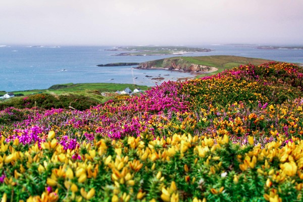 14-Day Ireland Sightseeing Tour from Dublin: Waterford, Killarney and Glasgow | 2 Countries and 16 Cities | 13 Breakfasts, 5 Dinners