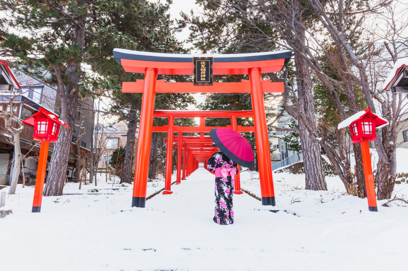 9-Day Japan Essentials Flexible Tour from Tokyo to Osaka: Hakone and Kyoto