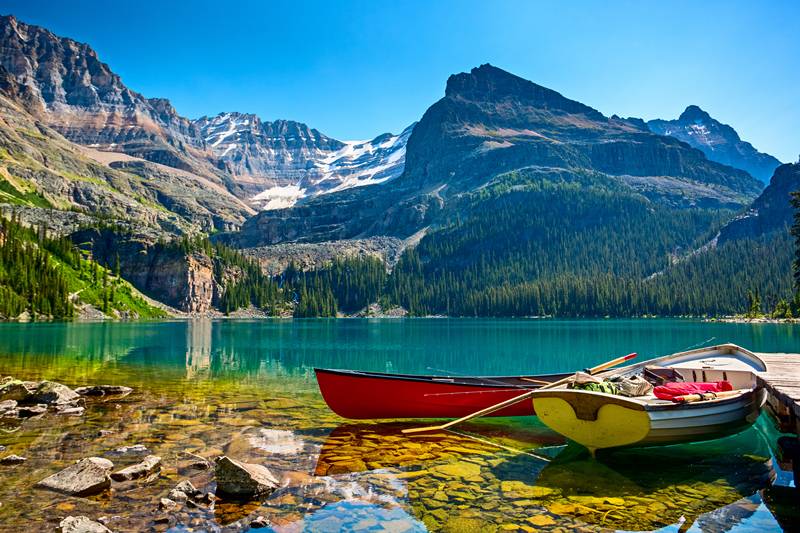 7-Day Luxury Boutique Yellowstone Tour from Salt Lake City【Max 14 Pax Small Group】: Great Salt Lake, The Grand Prismatic Hot Spring, Old Faithful Geyser, Yellowstone Bear World
