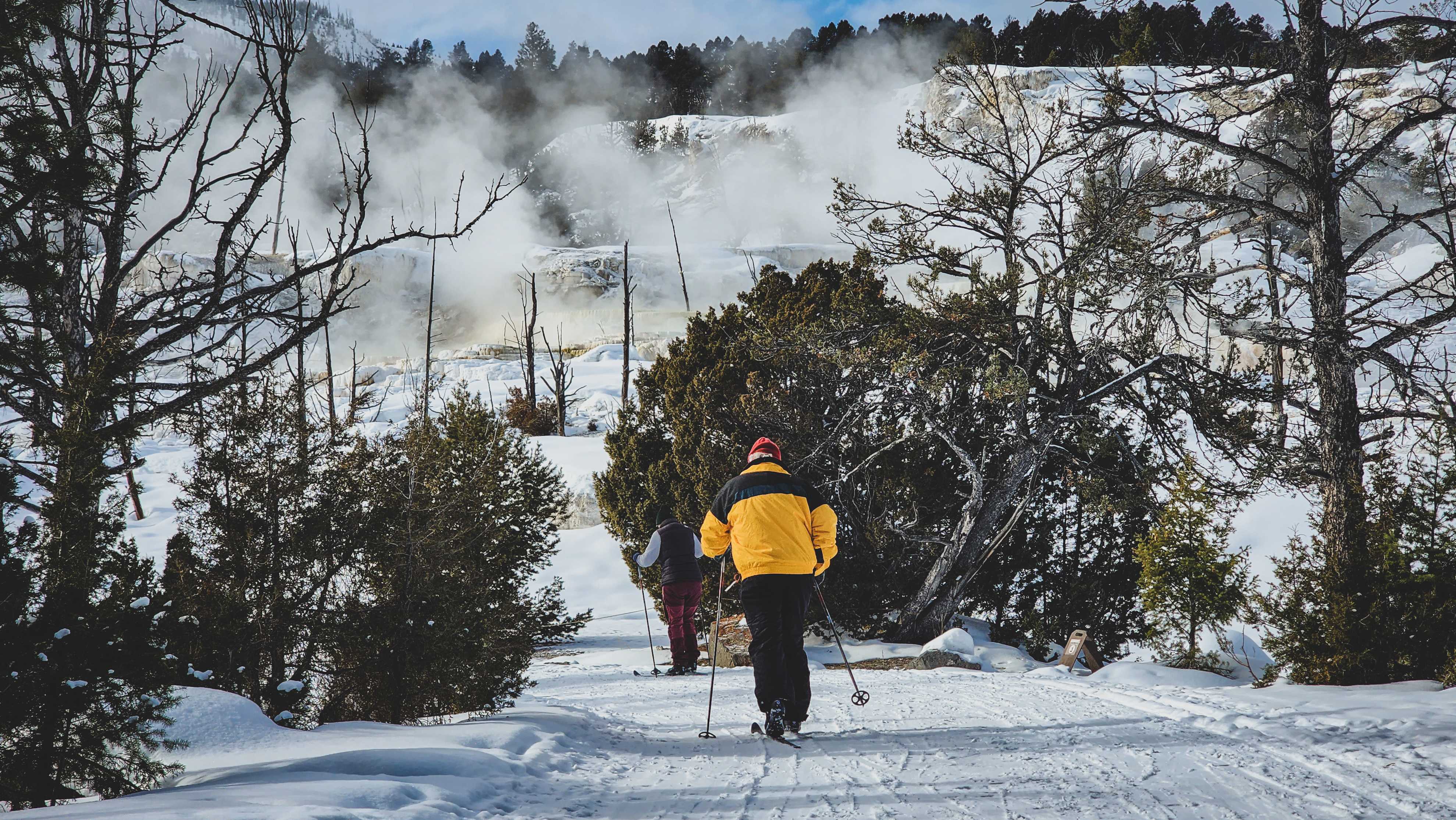6-Day Yellowstone National Park Winter Wonderland Lodging Tour from Bozeman | Max 13 Small Group