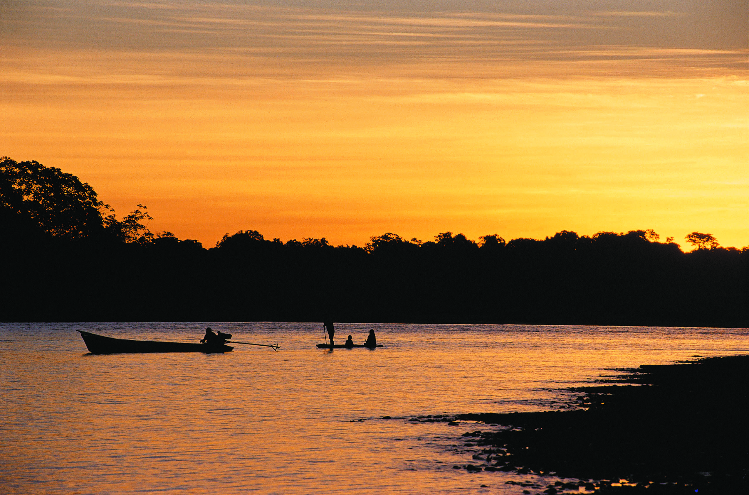 4-Day Reserva Amazonica Tour from Puerto Maldonado: Canopy Interpretation Centre and Quebrada Gamitana