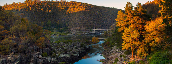 5-Day Tassie's East Coast Highlights Tour from Launceston: Bicheno and Hobart | Port Arthur Historic Site | 1 Country and 3 Cities | 4 Breakfasts & 2 Dinners