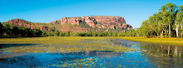 6-Day Top End Highlights Tour from Darwin: Katherine and Kakadu | Nitmiluk Gorge | Kakadu National Park | 1 Country and 3 Cities | 5 Breakfasts & 2 Dinners