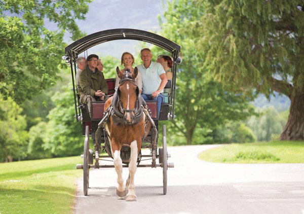 7-Day Ireland Tour: Dublin, Kilkenny, Cobh, Moher, Adare, Galway | 6 Breakfasts, 4 Dinners