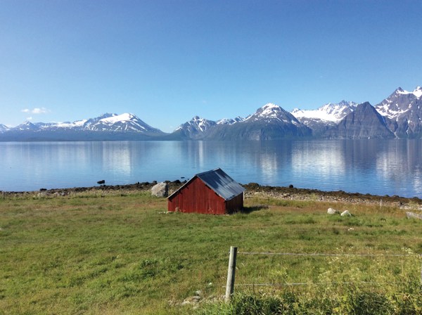 12-Day Country Roads of Scandinavia: Oslo, Ulvik, Flam, Bergen, Stavanger, Aalborg, Copenhagen | 11 Breakfasts, 6 Dinners