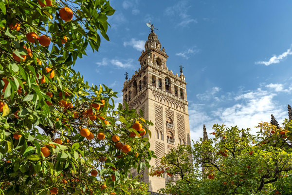 9-Day Highlights of Spain Tour from Barcelona: Valencia, Purullena, Granada, Seville, Madrid | 1 Country with 7 Cities | Free Airport Pick Up & Drop Off