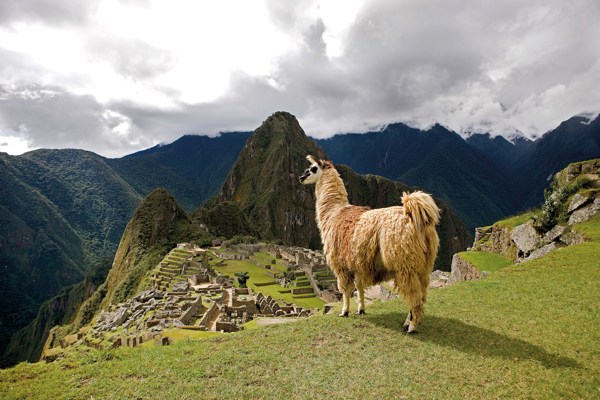 10-Day Peru Tour from Lima to Cusco: Machu Picchu and Sacred Valley | 1 Country and 4 Cities | 9 Breakfasts, 4 Lunches, 5 Dinners
