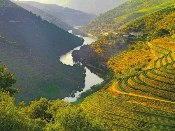 11-Day Country Roads of Portugal Tour from Lisbon: Tomar and Porto | Classic Group | 1 Country and 14 Cities | 10 Breakfasts, 2 Lunches & 3 Dinners