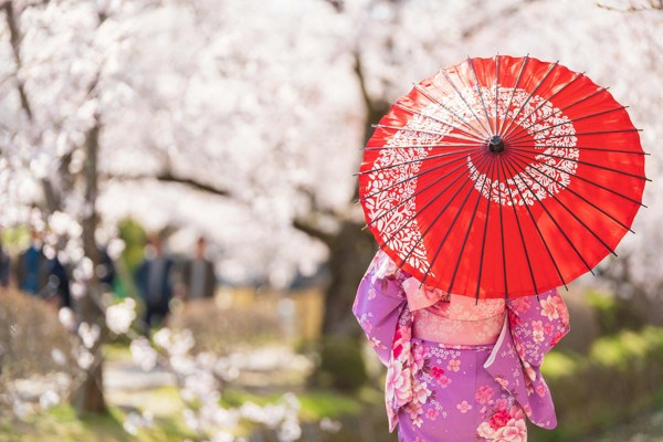 11-Day Classic Japan Tour from Tokyo to Osaka: Mt. Fuji and Kyoto | 1 Country and 6 Cities | 10 Breakfasts, 4 Lunches, 2 Dinners