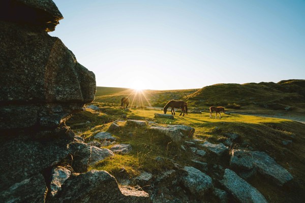 8-day UK Sightseeing Tour of Devon and Cornwall from London: Windsor, Paignton, Tintagel, Lynmouth and Bath