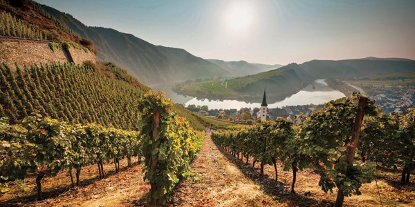 13-Day Germany and Austria Tour from Frankfurt: Berlin, Rothenburg, Munich, Salzburg and Vienna