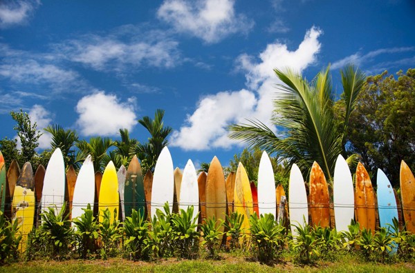 10-Day Best of Hawaii Tour from Honolulu to Maui: Pearl Harbor and Hawaii Volcanoes National Park | 1 Country and 11 Cities | 9 Breakfasts, 1 Lunch, 4 Dinners