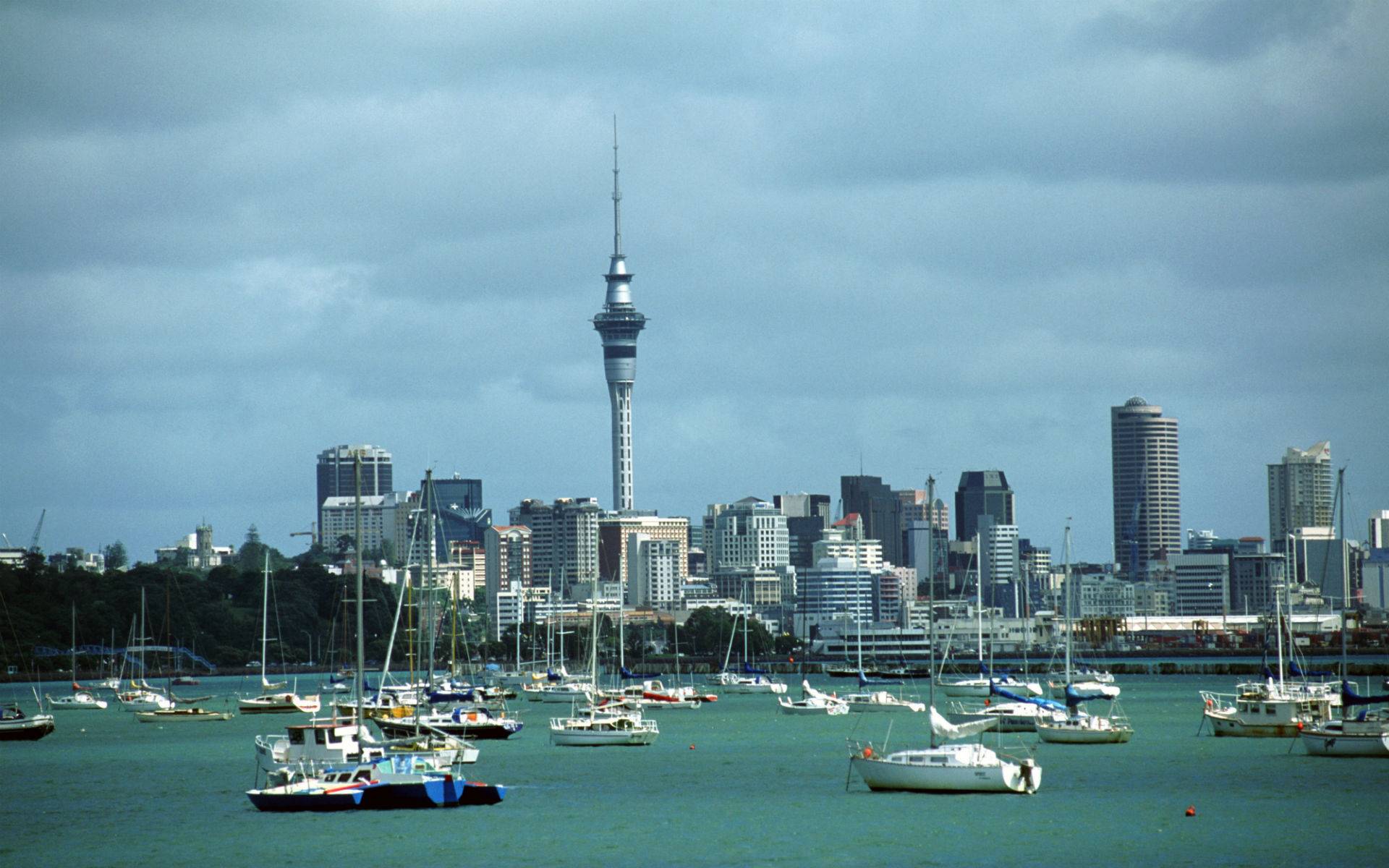15-Day Highlights of New Zealand Tour from Auckland【Max 16 Pax Small Group】: Rotorua, Wellington & Queenstown