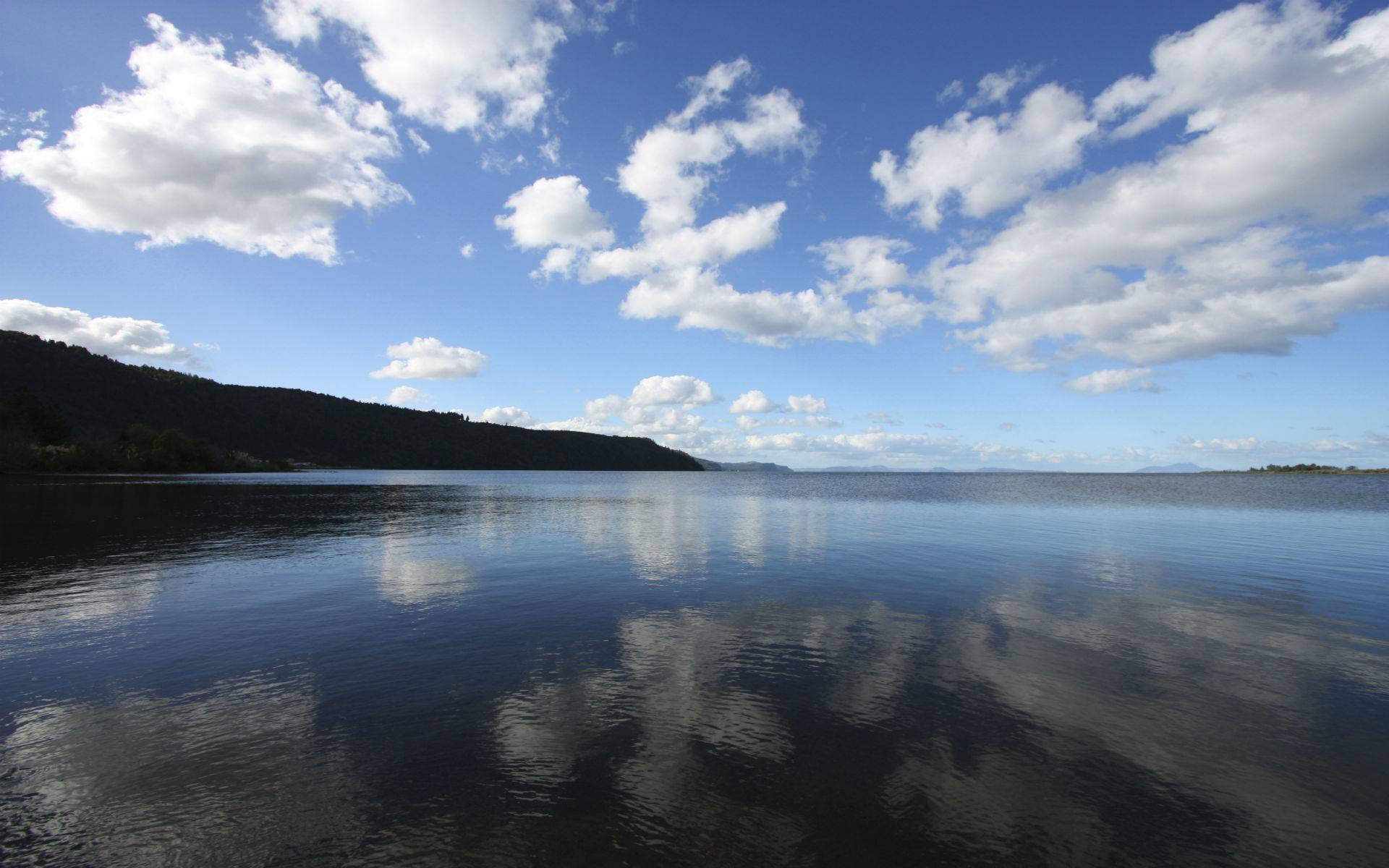 7-Day Best of the North Island in New Zealand Tour from Auckland【Max 20 Pax Small Group】: Raglan, Taupo & Wellington