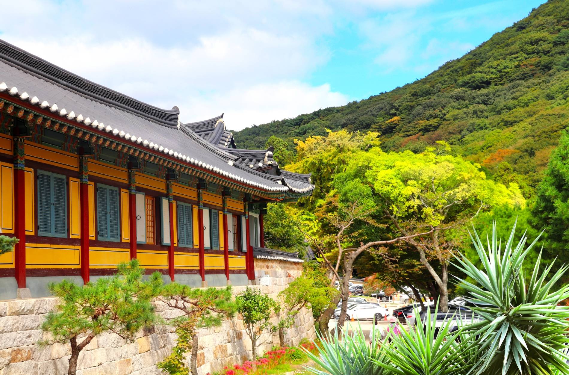 9-Day Complete and Insightful Korea Tour from Seoul: Suwon, Jeonju, Damyang, Haeinsa, Busan, Gyeongju, Daegu and Andong