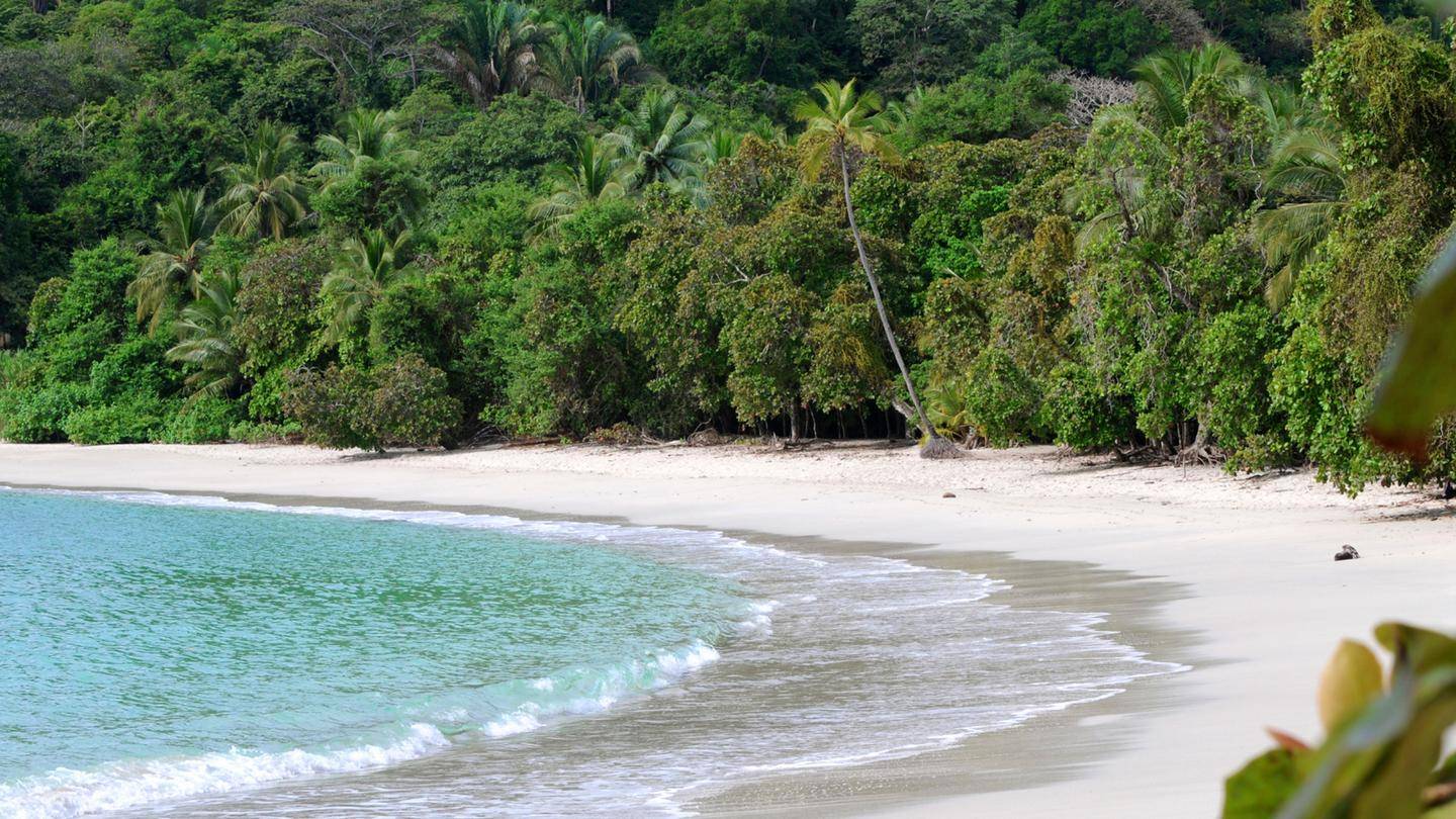 14-Day Explore Costa Rica Tour from San José【Max 16 Pax Small Group】: La Fortuna, Monteverde and  Manuel Antonio