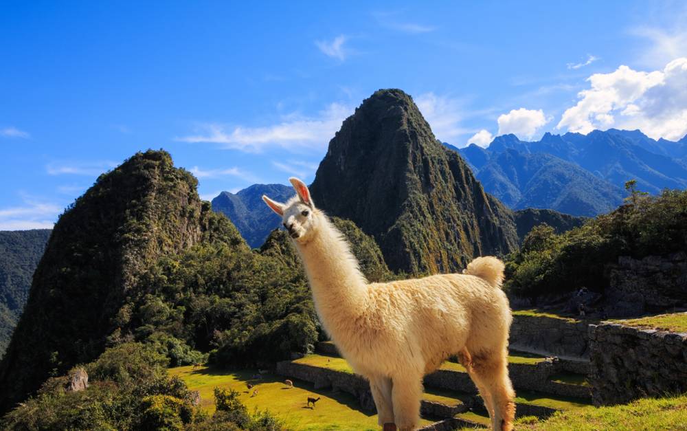 10-Day Machu Picchu and the Amazon Tour from Lima【Max 16 Pax Small Group】: Cusco, Inca Trail and  Tambopata