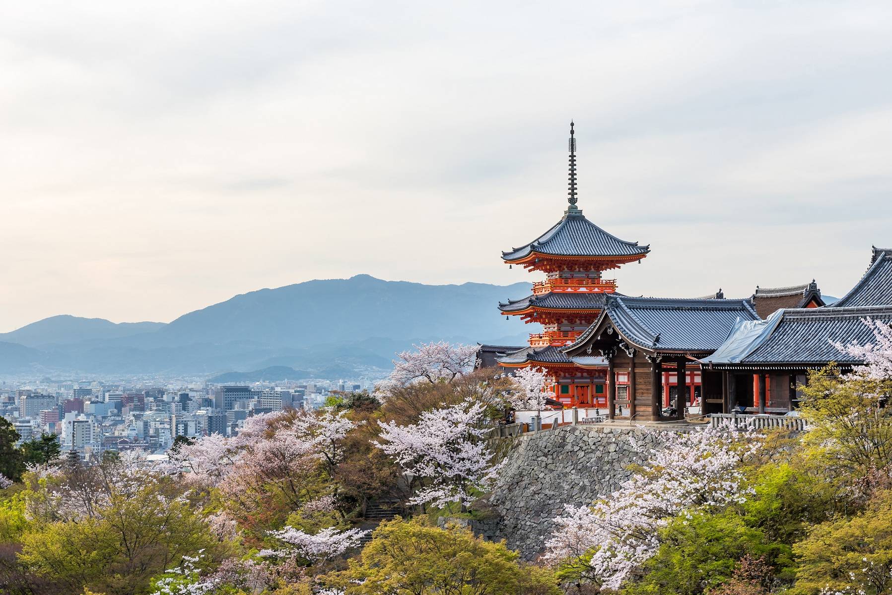 6-Day Japan Kansai and Kanto Tour from Osaka & Tokyo: Kiyomizu Temple and Fushimi Inari Taisha丨Optional Day Tour