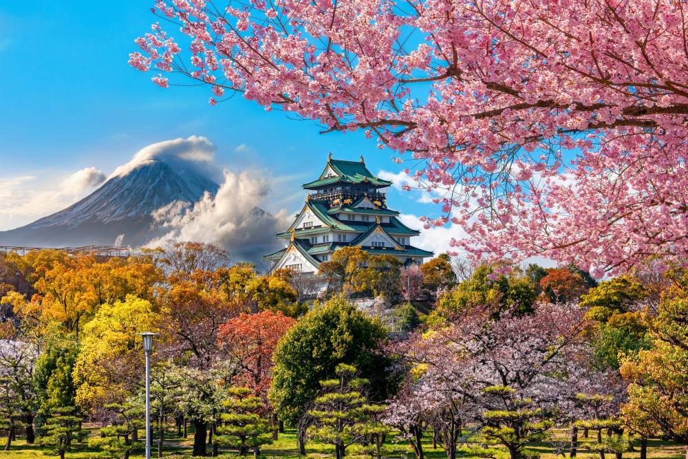 8-Day Japan Semi-Guided Tour from Osaka: Kyoto, Nara & Tokyo | Mount Fuji, Hakone & Disneyland Highlights
