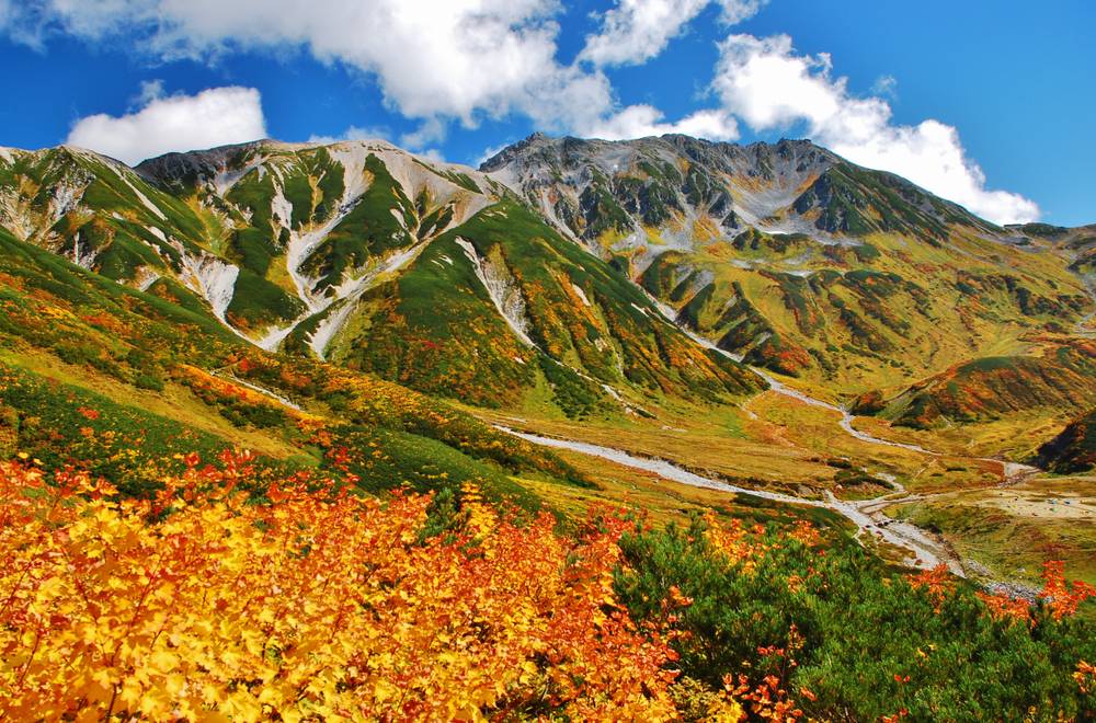 2-Day Tateyama Kurobe Autumn Colors Tour from Nagoya: Secret Kamikochi and  Alpine Route丨Kappa Bridge, Kurobe Dam and Myojin Pond