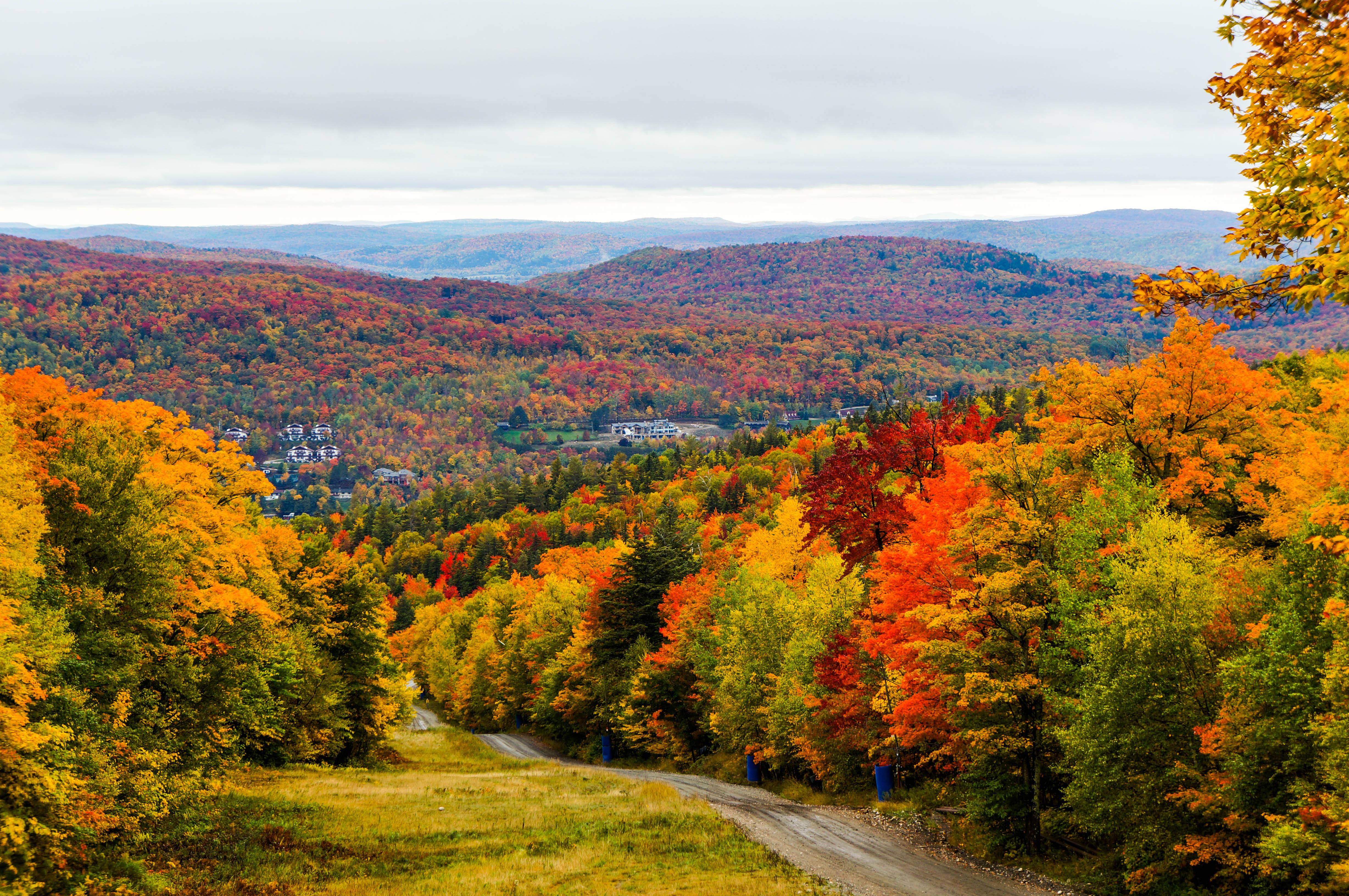 6-Day Eastern Canada Tour from Toronto: Montreal, Ottawa, Quebec, Lake Couchiching and Lake Muskoka | Small Group