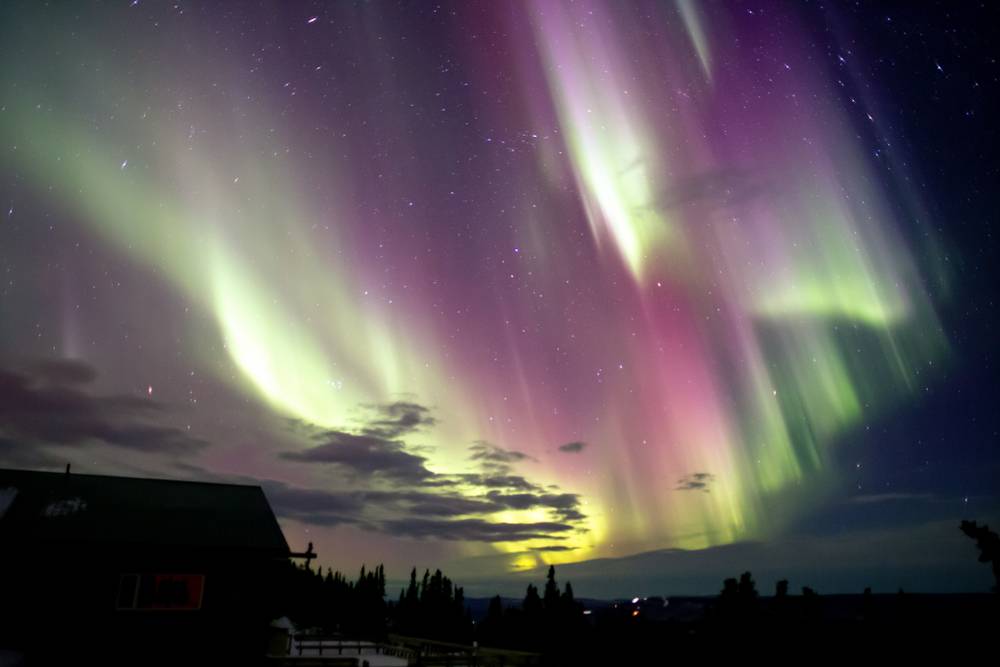 【Alaska Aurora Viewing】5-Day Northern Lights Tour from Fairbanks: Chena Hot Springs and Arctic Circle Land Adventure | Free Airport Pick-up | Small Group
