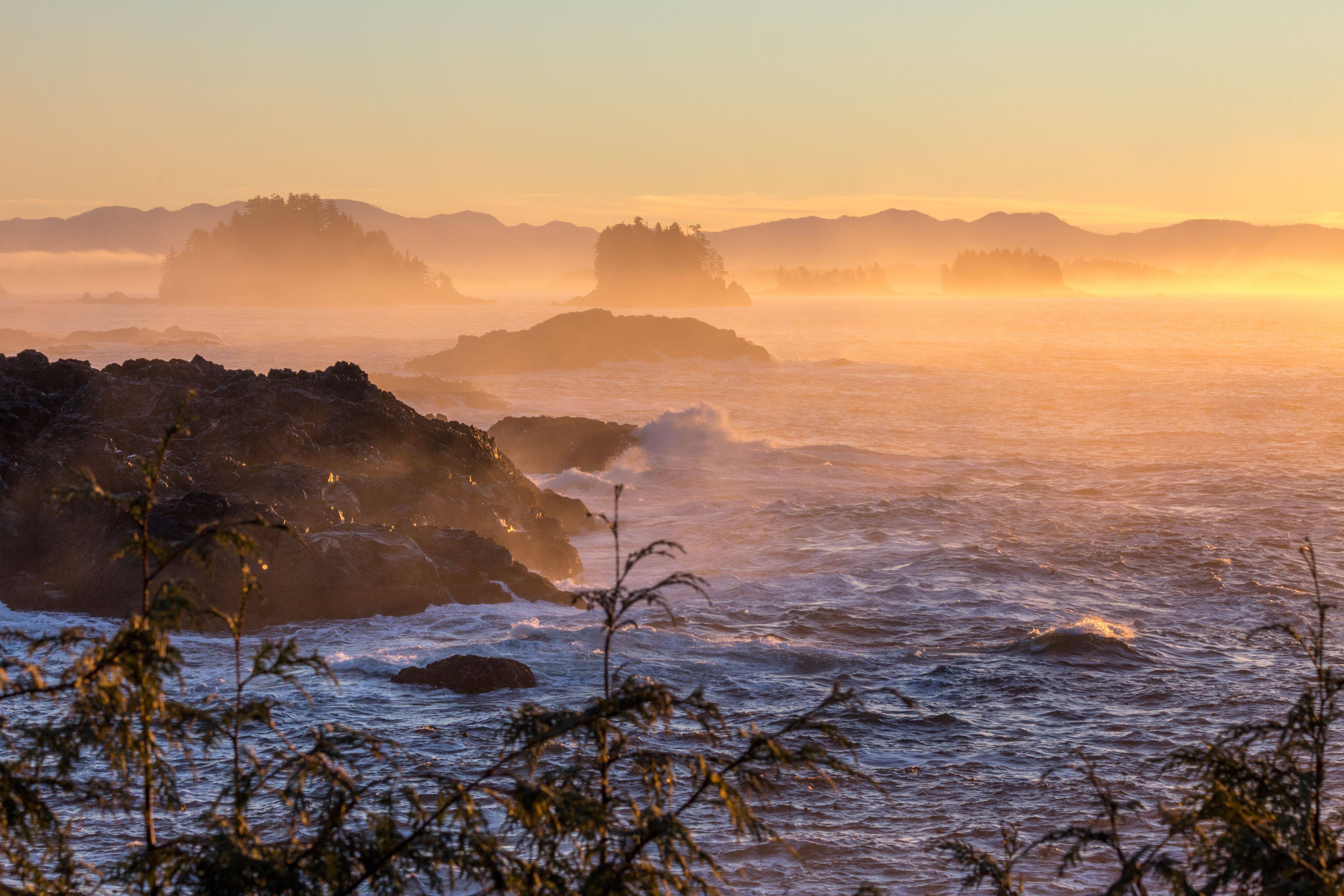 8-Day Vancouver Island Premium Tour from Vancouver: Victoria, Tofino | Pacific Rim National Park | Northern Vancouver Island