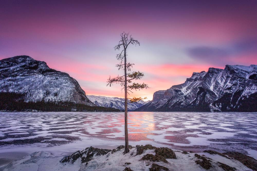 4-Day Winter Rockies Classic Tour from Calgary: Lake Louise, Icefield Parkway, Lake Minnewanka, Kootenay National Park