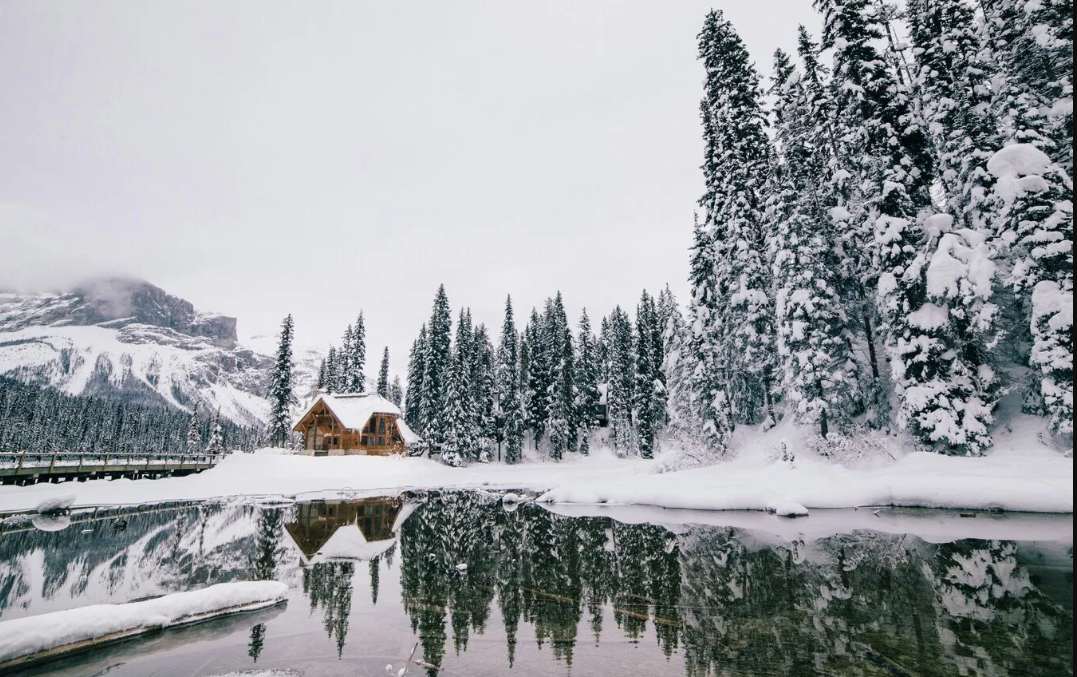 5-Day Canadian Rockies Icons & Icefields Parkway Getaway Tour from Calgary: Lake Louise, Peyto Lake, Johnston Canyon and Free Time in Banff丨English Only