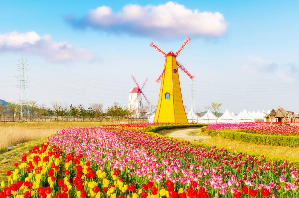 7-Day Western Europe Loop Tour: France, Germany, Netherlands, Belgium, Luxembourg 