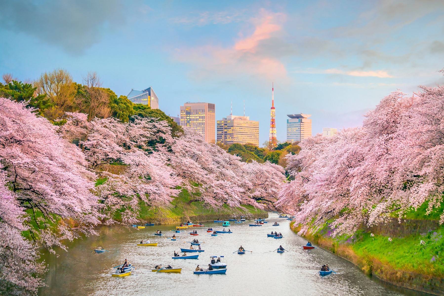 10-Day Wonders of Korea and Japan Tour: Seoul, Busan, Tokyo, Kyoto and Osaka | Changdeokgung Palace, Bulguksa Temple, Tokyo Skytree, Fushimi Inari Shrine and Todaiji