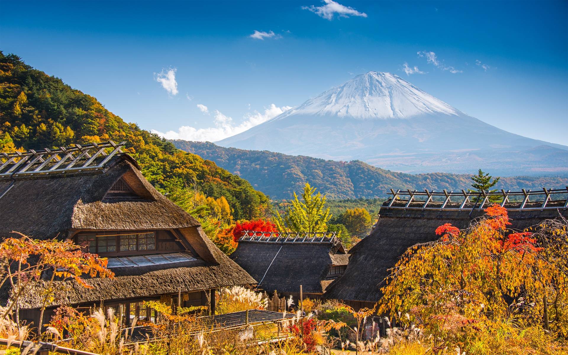 12-Day Discover Hidden Japan Tour from Tokyo: Akihabara, Matsumoto & Kyoto |  Hida Furukawa, Zojoji Temple, Kawaguchiko& Fuji Sengen Shrine
